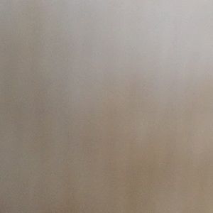 Meet your Posher, Rheagan